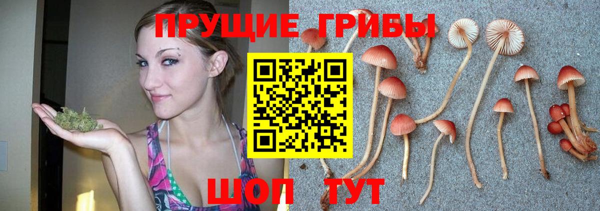 Псилоцибиновые грибы мухоморы  Вход с VPN  Богданович 